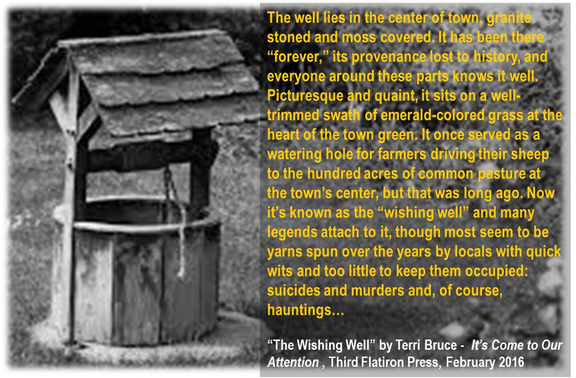 TheWishingWell
